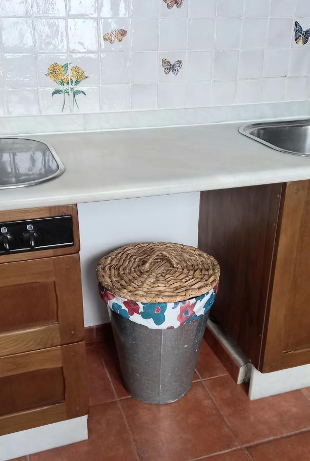 Casa Pescado A La Sombra De Un Drago Apartman Arrecife Kültér fotó